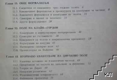 Квантова теория на полето. Том 2 (Допълнителна снимка 3)