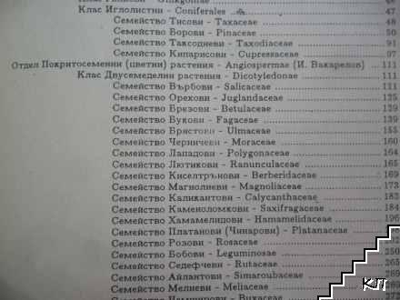 Декоративна дендрология (Допълнителна снимка 3)