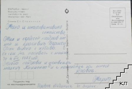 Вършец - паркът - снимка 1