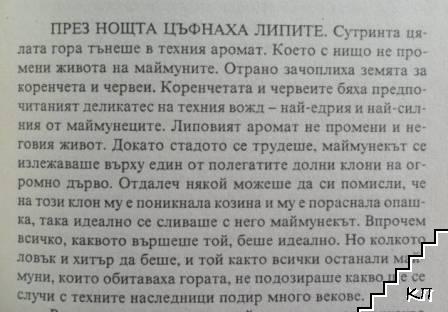 Кой ден от седмицата - снимка 3
