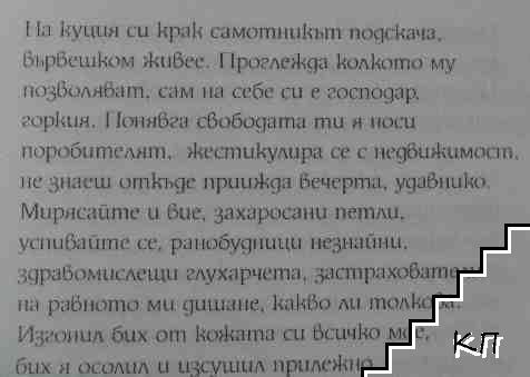 Дневникът на господин Самотен (Допълнителна снимка 2)