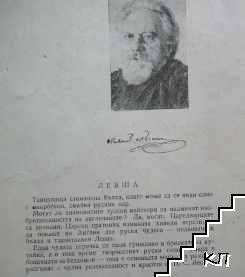 Левакът (Допълнителна снимка 1)