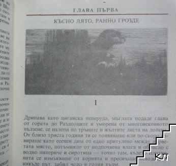 Ни горе връх, ни долу корен (Допълнителна снимка 3)