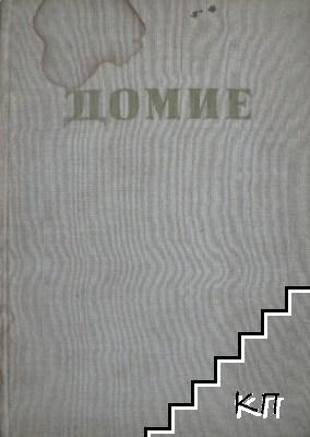 Домие (Допълнителна снимка 1)