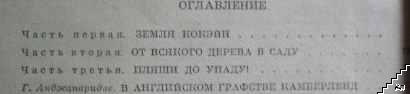 За городской стеной (Допълнителна снимка 2)