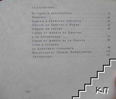 Боянската църква - снимка 2