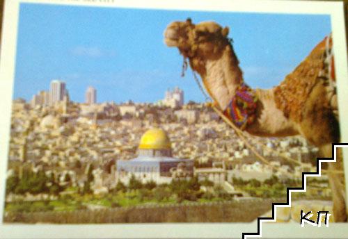 Jerusalem. The Old City