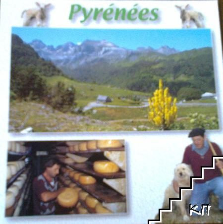 Pyrenees (Допълнителна снимка 1)