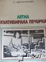 Лятна култивирана печурка