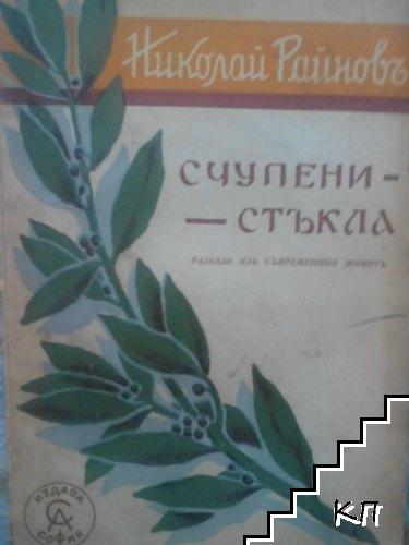 Пълно събрание на съчиненията на Николай Райновъ. Томъ 11: Счупени стъкла