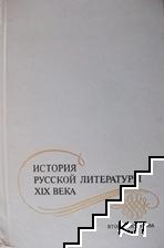 История русской литературы XIX века. Вторая половина