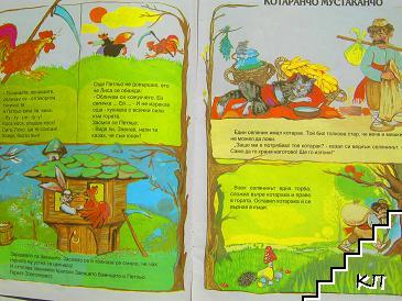 Лисанка хитранка - снимка 1