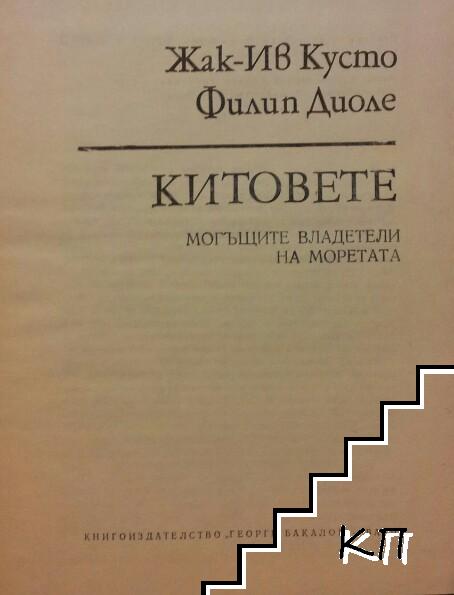 Китовете (Допълнителна снимка 1)