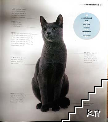 Cats: The Ultimate cat Lover's Guide (Допълнителна снимка 1)