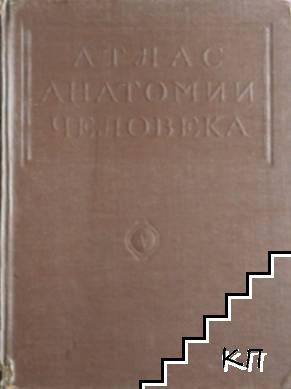 Атлас анатомии человека в пяти томах. Том 3-4, 5 (Допълнителна снимка 2)