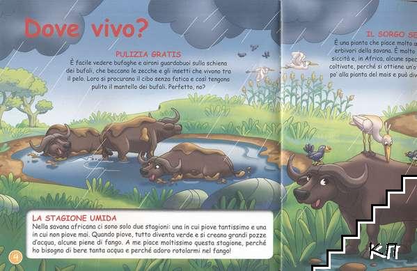 Animali della Savana: Il bufalo (Допълнителна снимка 1)
