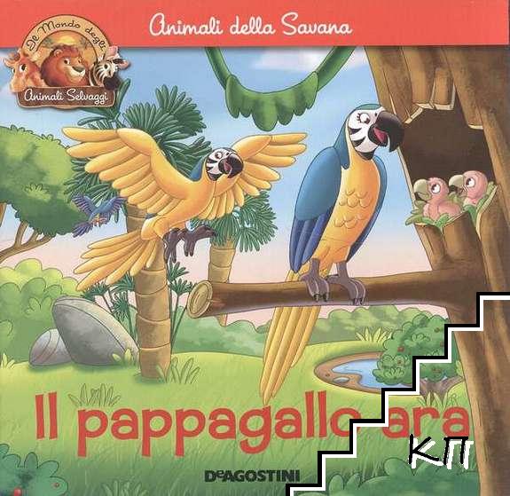 Animali della Savana: Il pappagallo ara