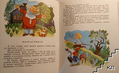 Шареното ковчеже - снимка 1