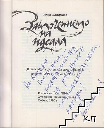 Заточението на идеала - снимка 1