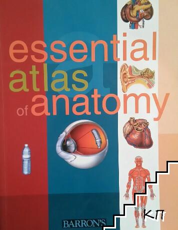 Essential Atlas of Anatomy