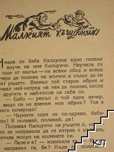 Доброволче (Допълнителна снимка 1)