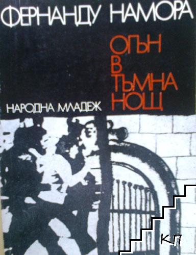 Огън в тъмна нощ