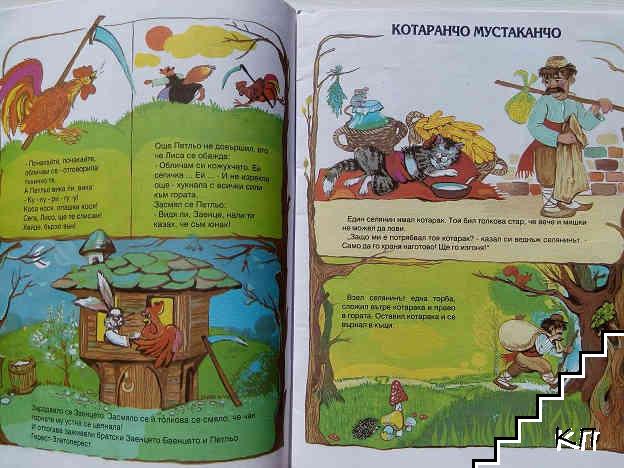 Лисанка хитранка (Допълнителна снимка 1)