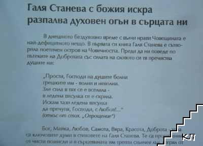 Поклонница на слънцето (Допълнителна снимка 2)