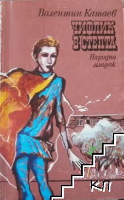 Чифлик в степта