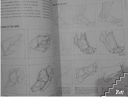 The Drawing Book (Допълнителна снимка 1)