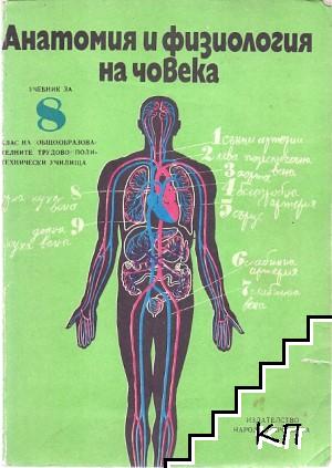 Анатомия и физиология на човека за 8. клас