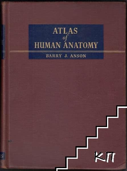 An Atlas of Human Anatomy