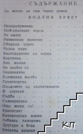 Сатира (Допълнителна снимка 1)