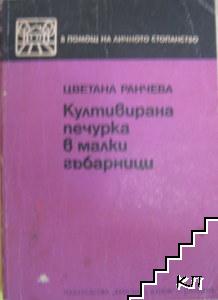 Култивирана печурка в малки гъбарници