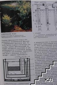 Мир аквариума (Допълнителна снимка 3)