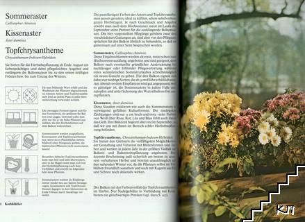 Unsere Balkonpflanzen (Допълнителна снимка 1)