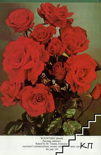 The Rose Annual 1972 (Допълнителна снимка 1)