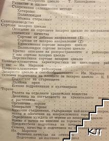 Захарно цвекло (Допълнителна снимка 2)