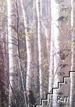 Мелодии русского леса (Допълнителна снимка 2)