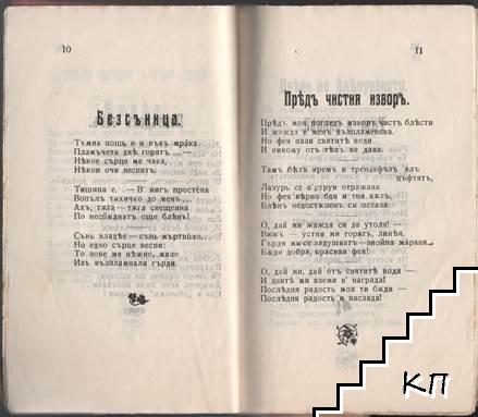 Зарници (Допълнителна снимка 1)