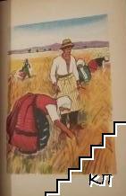 Тъги и радости - снимка 1