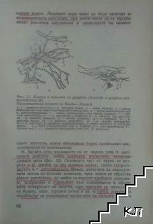 Обезболяване в стоматологията (Допълнителна снимка 1)