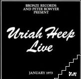 Live Live