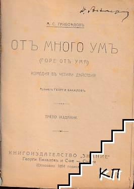 Отъ много умъ (Допълнителна снимка 1)