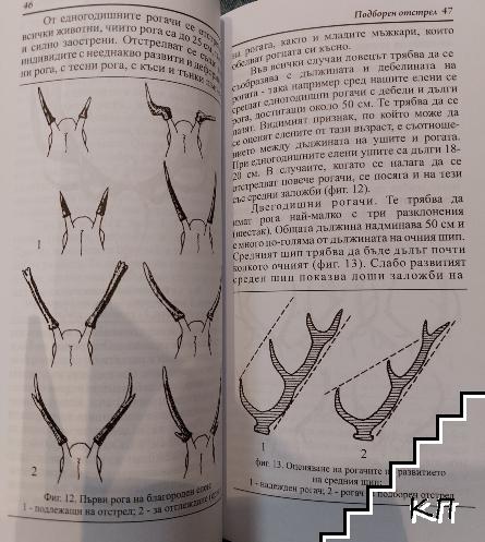 Подборен отстрел (Допълнителна снимка 1)