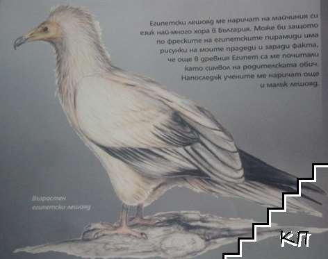 Да бъдеш лешояд (Допълнителна снимка 1)
