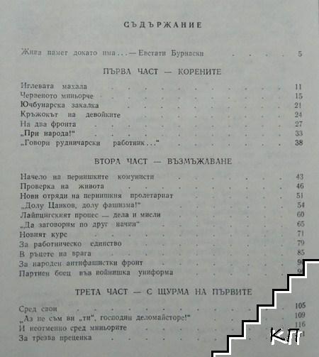 Сърцето докато тупти... - снимка 2