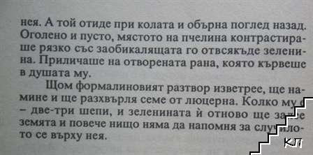 Пастирът на пчелите (Допълнителна снимка 3)