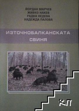 Източнобалканската свиня