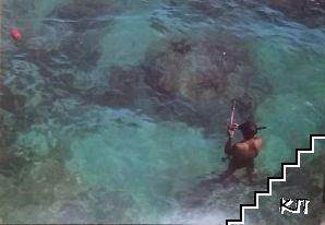 Caza submarina